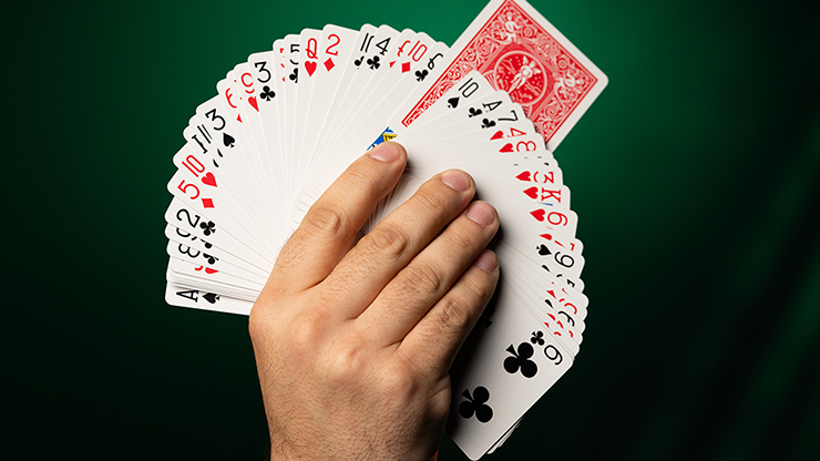 Fiedler's Flier (With Online Instruction)