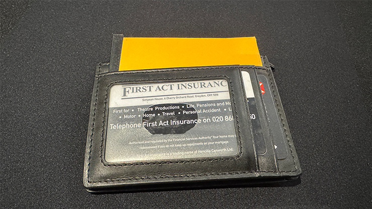 Everyday Wallet by Mark Traversoni