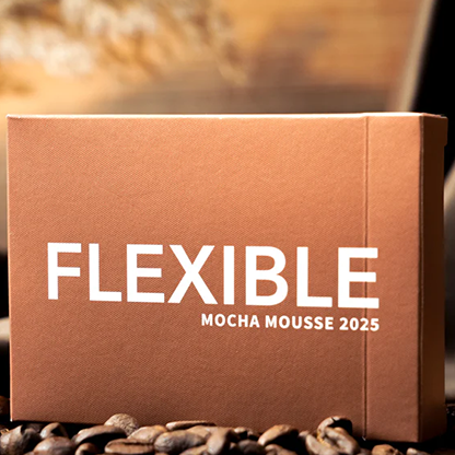 Flexible Mocha Mousse Playing Cards by TCC