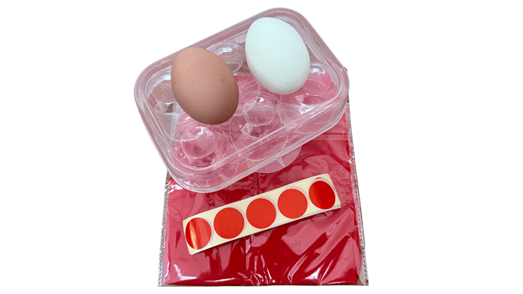 Silk to Egg by Michael Ammar and Bazar de Magia