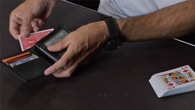 Divisa by Adrian Vega