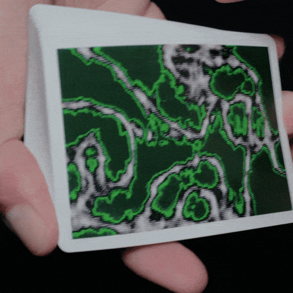 Fractal Playing Cards (Acid)