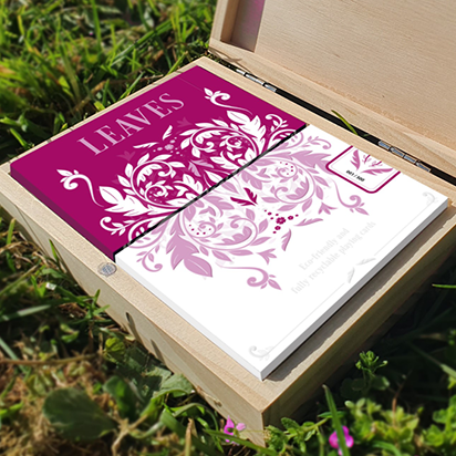 Wooden Leaves Summer Box Set Playing Cards by Dutch Card House Company