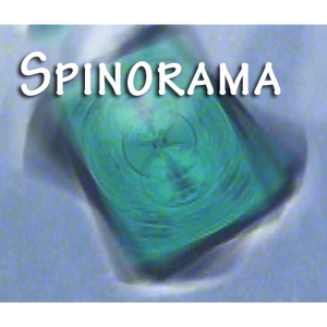 Spinorama by William Lee video DOWNLOAD