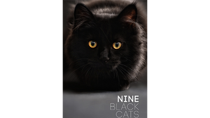 Nine Black Cats by Neema Atri eBook DOWNLOAD