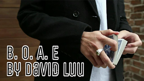 Blink Of An Eye by David Luu video DOWNLOAD