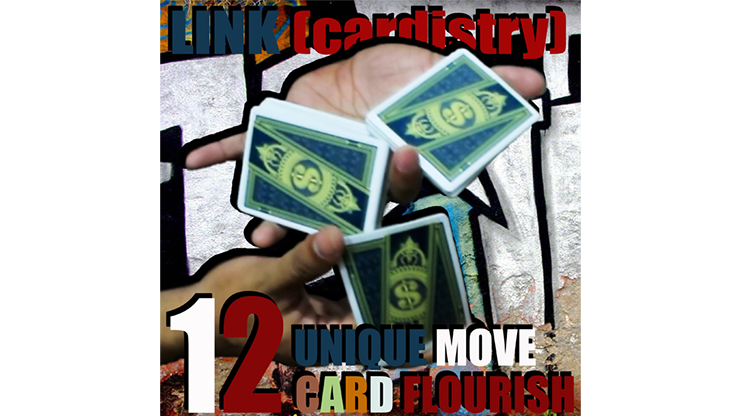 LINK (Cardistry Project) by SaysevenT video DOWNLOAD