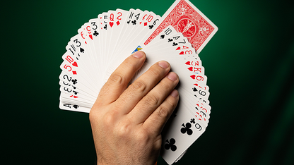 Fiedler's Flier (With Online Instruction)