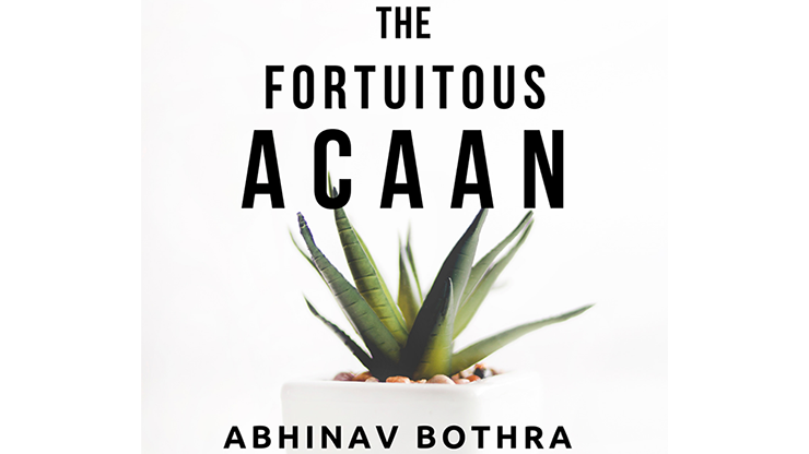 The Fortuitous ACAAN by Abhinav Bothra Mixed Media DOWNLOAD