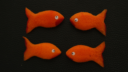 Sponge Emoji GOLDFISH (4PK.)