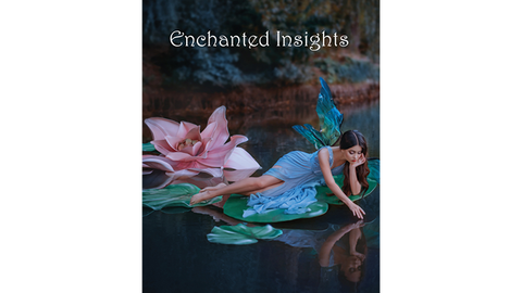 ENCHANTED INSIGHTS BLUE (Korean Instruction) by Magic Entertainment Solutions - Trick