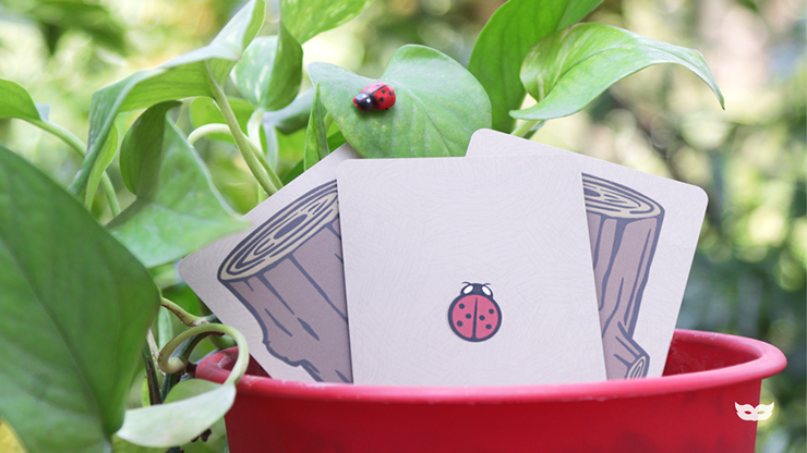 Lucky Ladybug (Gimmicks and Online Instructions)