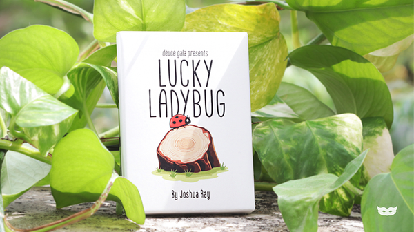 Lucky Ladybug (Gimmicks and Online Instructions)