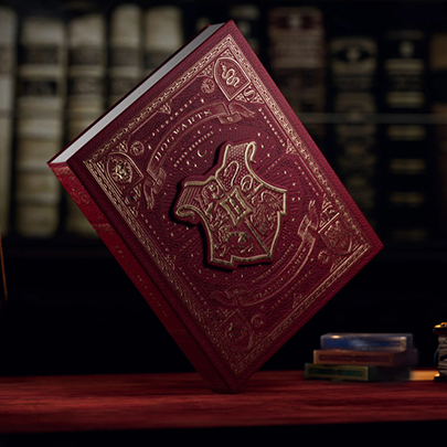 Harry Potter Box Sets by theory11