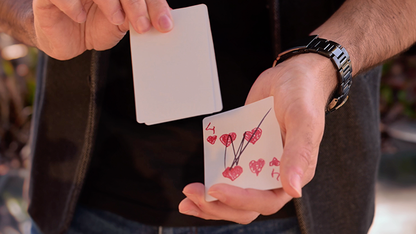 Kid Canvas by Adrian Vega