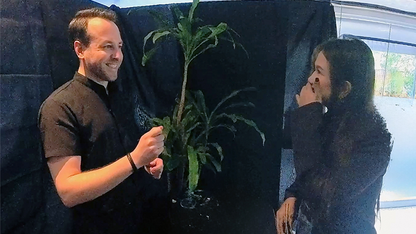 Echo Book Test by Vincent Hedan (Rider-Waite Tarot)