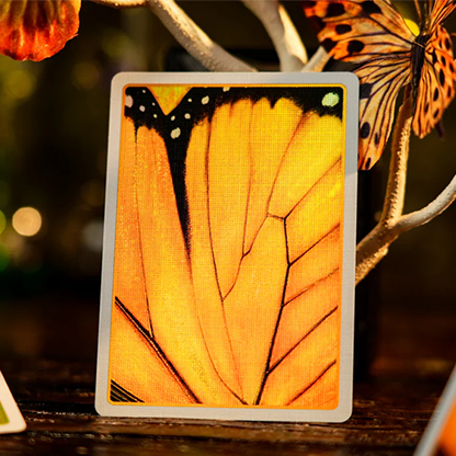 Amber Golden Morpho Playing Cards by TCC Fashion