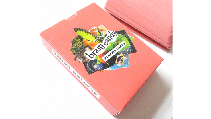 Brain Candy Playing Cards
