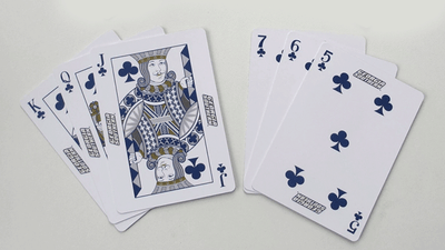 Georgia Southern Playing Cards