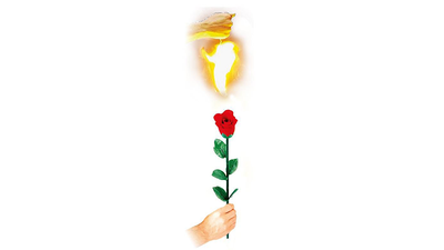 Instant Rose by Vincenzo DiFatta