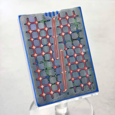 Grid 750 Fantasies Playing Cards