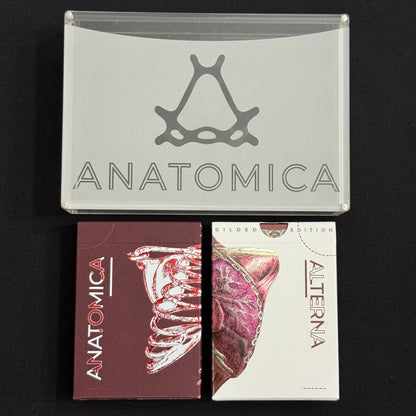 Anatomica & Alterna Gilded + Case [AUCTION]