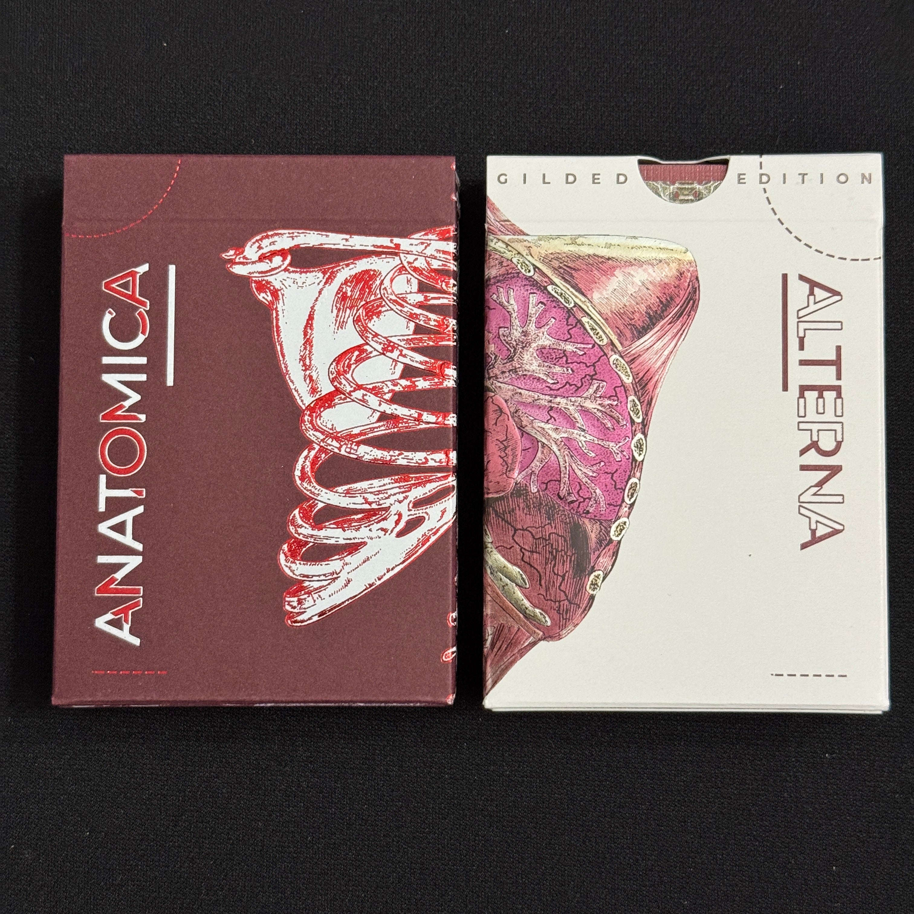 Anatomica & Alterna Gilded + Case [AUCTION]