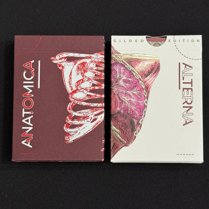 Anatomica & Alterna Gilded + Case [AUCTION]