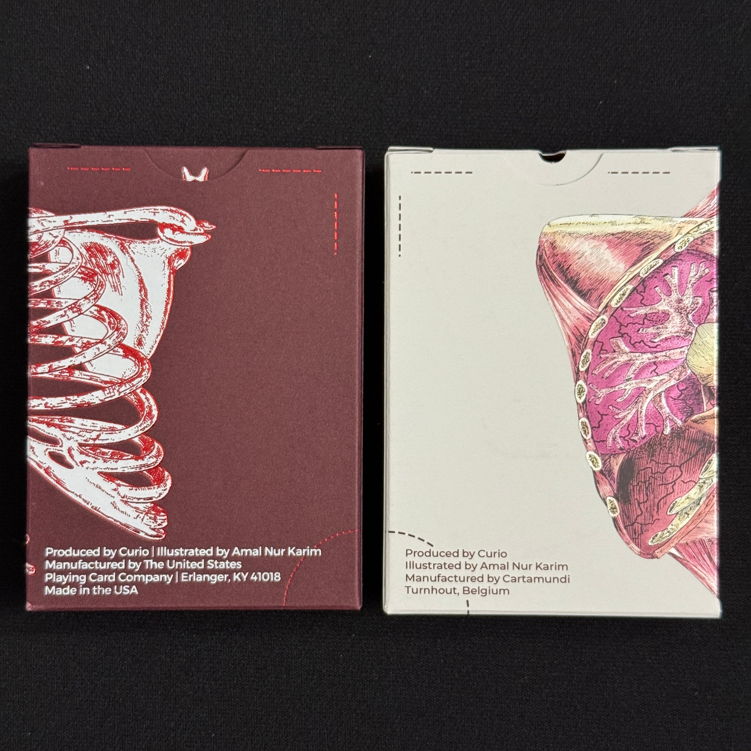 Anatomica & Alterna Gilded + Case [AUCTION]