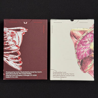 Anatomica & Alterna Gilded + Case [AUCTION]