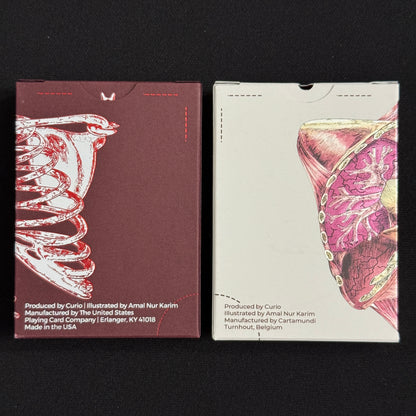 Anatomica & Alterna Gilded + Case [AUCTION]