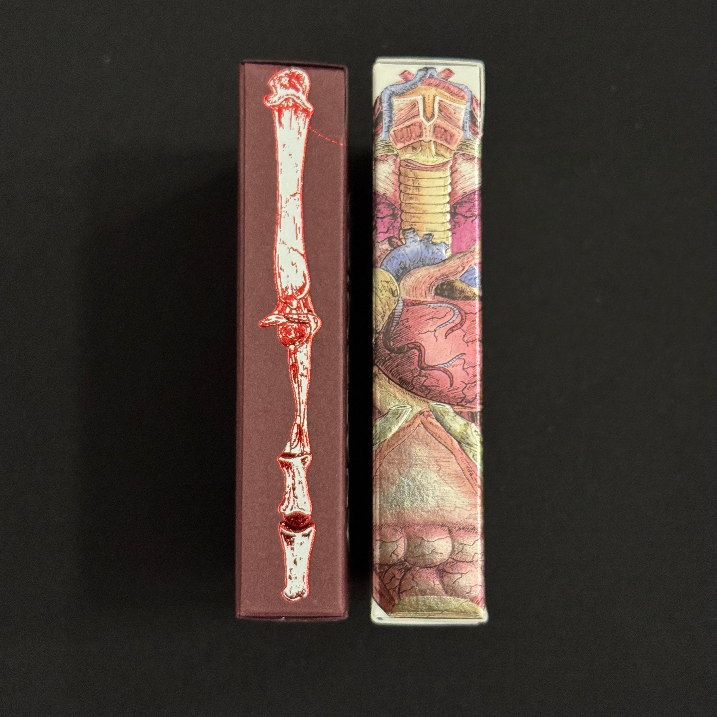 Anatomica & Alterna Gilded + Case [AUCTION]