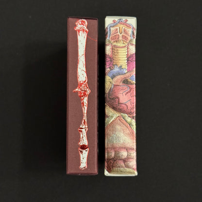 Anatomica & Alterna Gilded + Case [AUCTION]