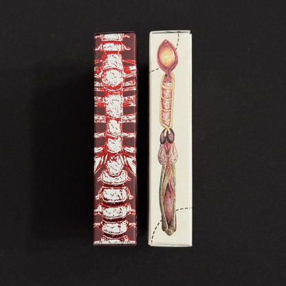 Anatomica & Alterna Gilded + Case [AUCTION]