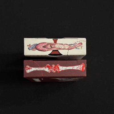 Anatomica & Alterna Gilded + Case [AUCTION]
