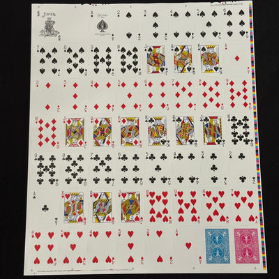 Bicycle Rider Back (Turquoise) Uncut Sheet