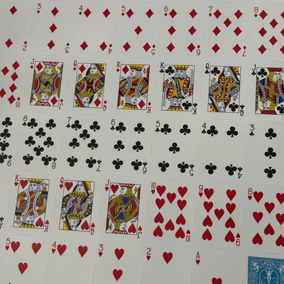 Bicycle Rider Back (Turquoise) Uncut Sheet