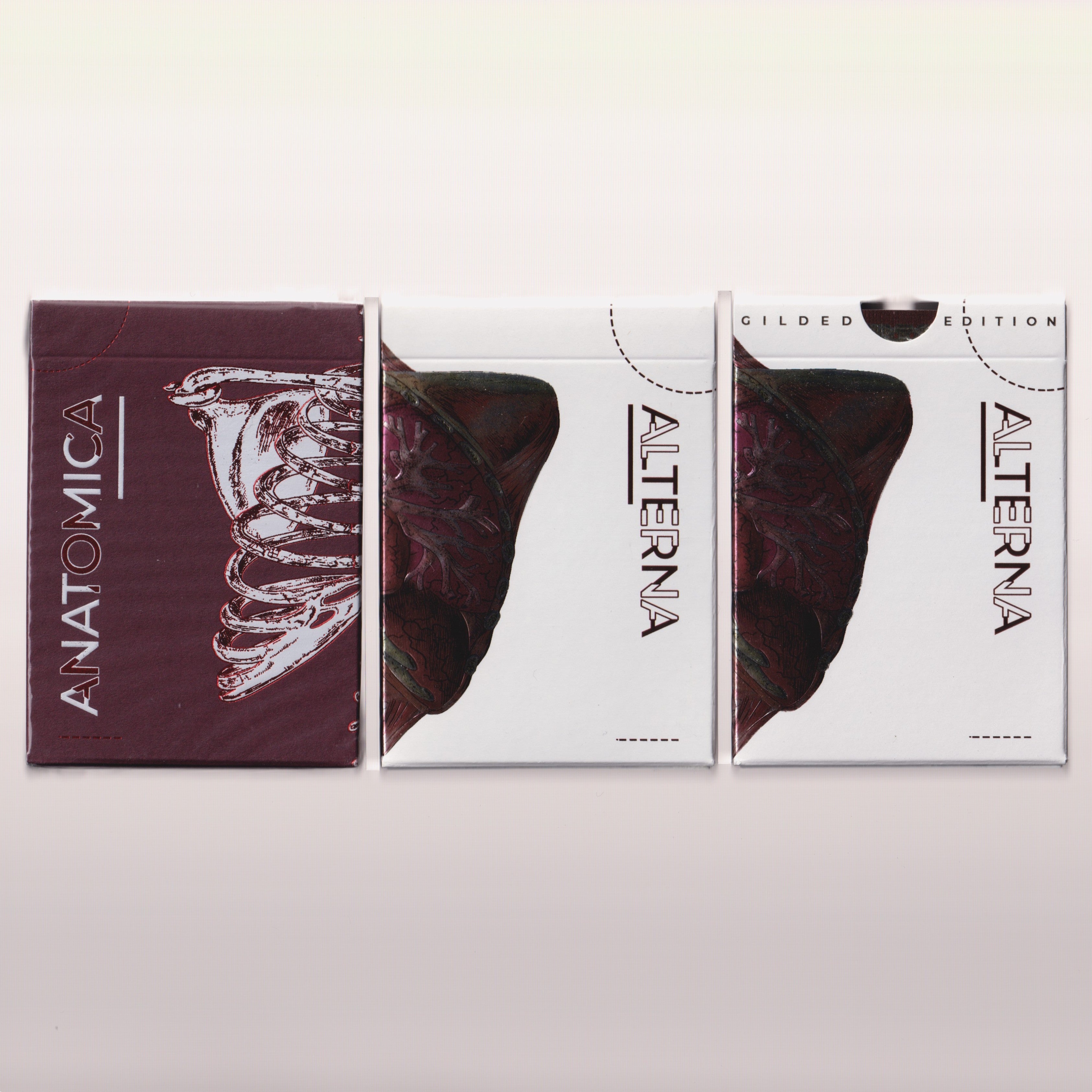 Anatomica & Alterna Set [AUCTION]