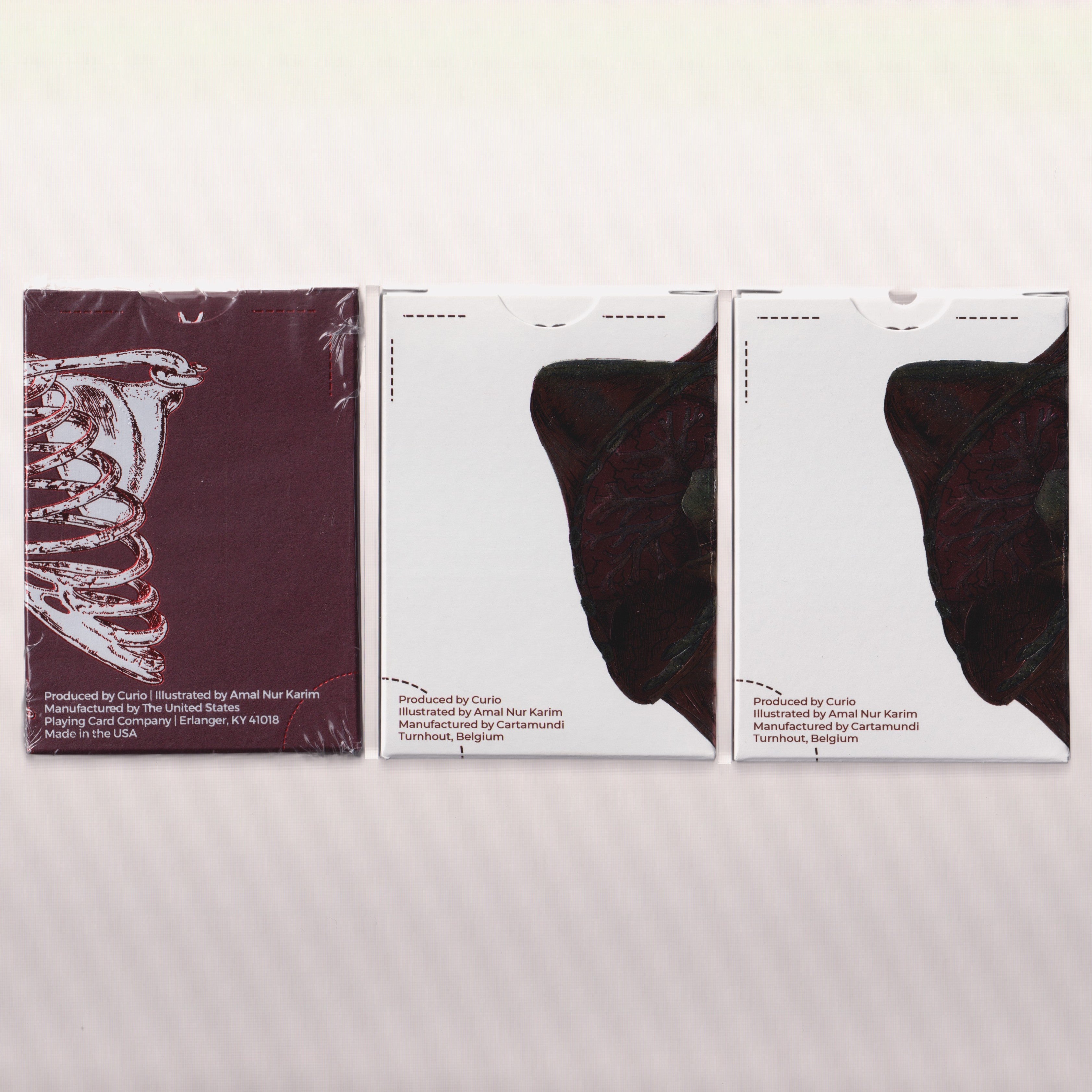 Anatomica & Alterna Set [AUCTION]