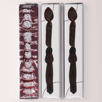 Anatomica & Alterna Set [AUCTION]