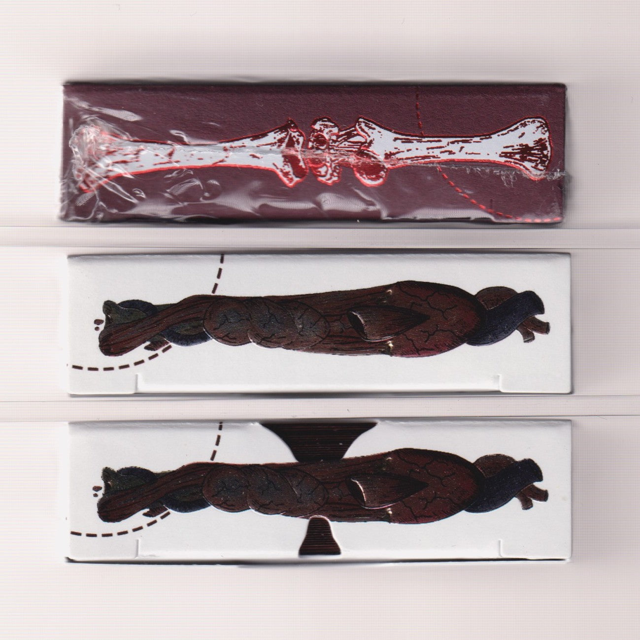 Anatomica & Alterna Set [AUCTION]