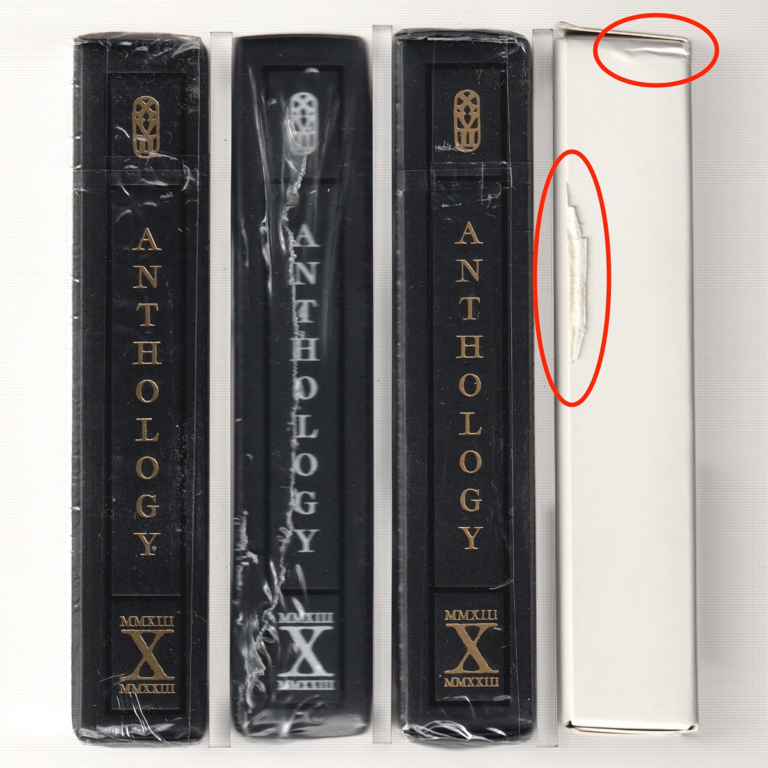 Anthology Bundle [AUCTION]