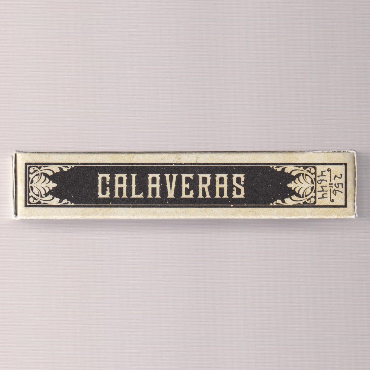 Bicycle Calaveras [AUCTION]