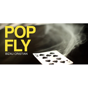 Pop Fly by Bizau Cristian video DOWNLOAD