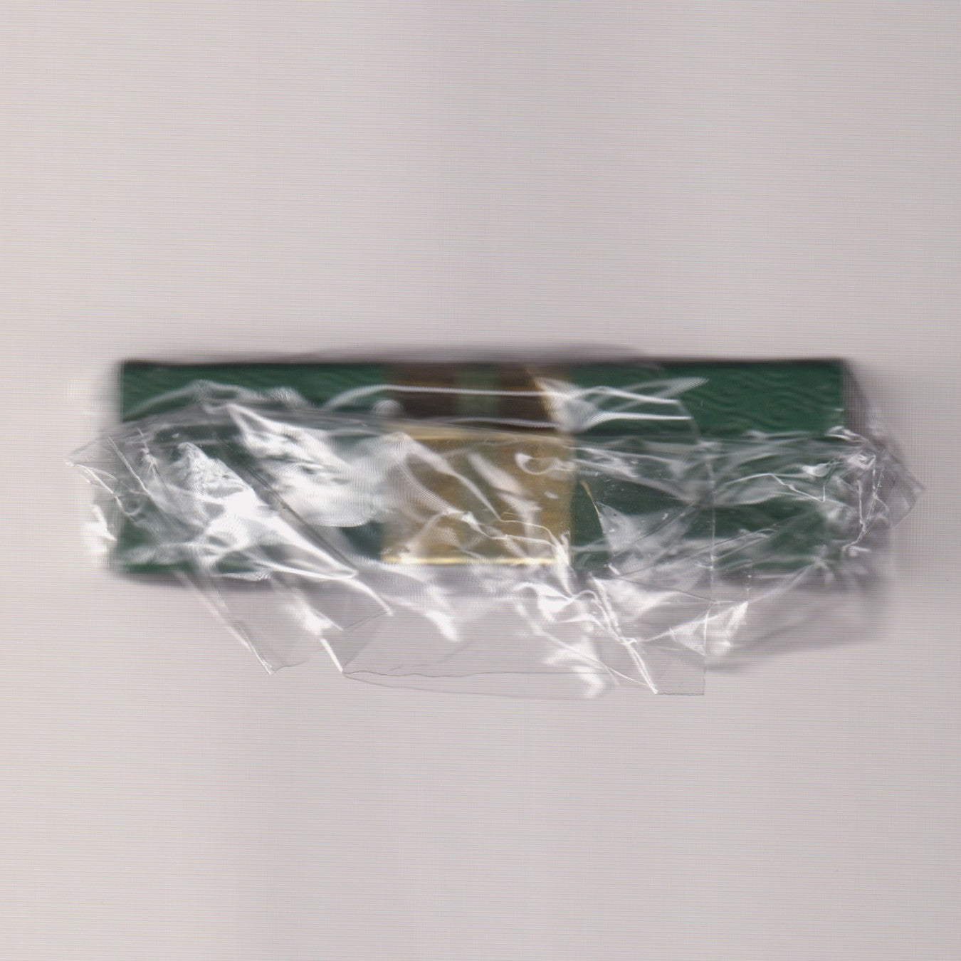 The Tale of the Tempest (Dynastinae Edition, #614/777) [AUCTION]