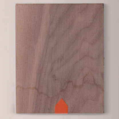 Flooded Verum Videre Legacy Edition (#10/46) [AUCTION]