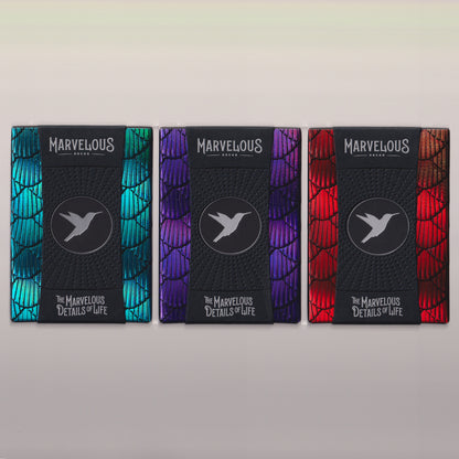 Hummingbird Feathers Signed Set [AUCTION]