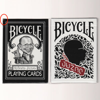 Sylvain Juzan Bicycle Set [AUCTION]