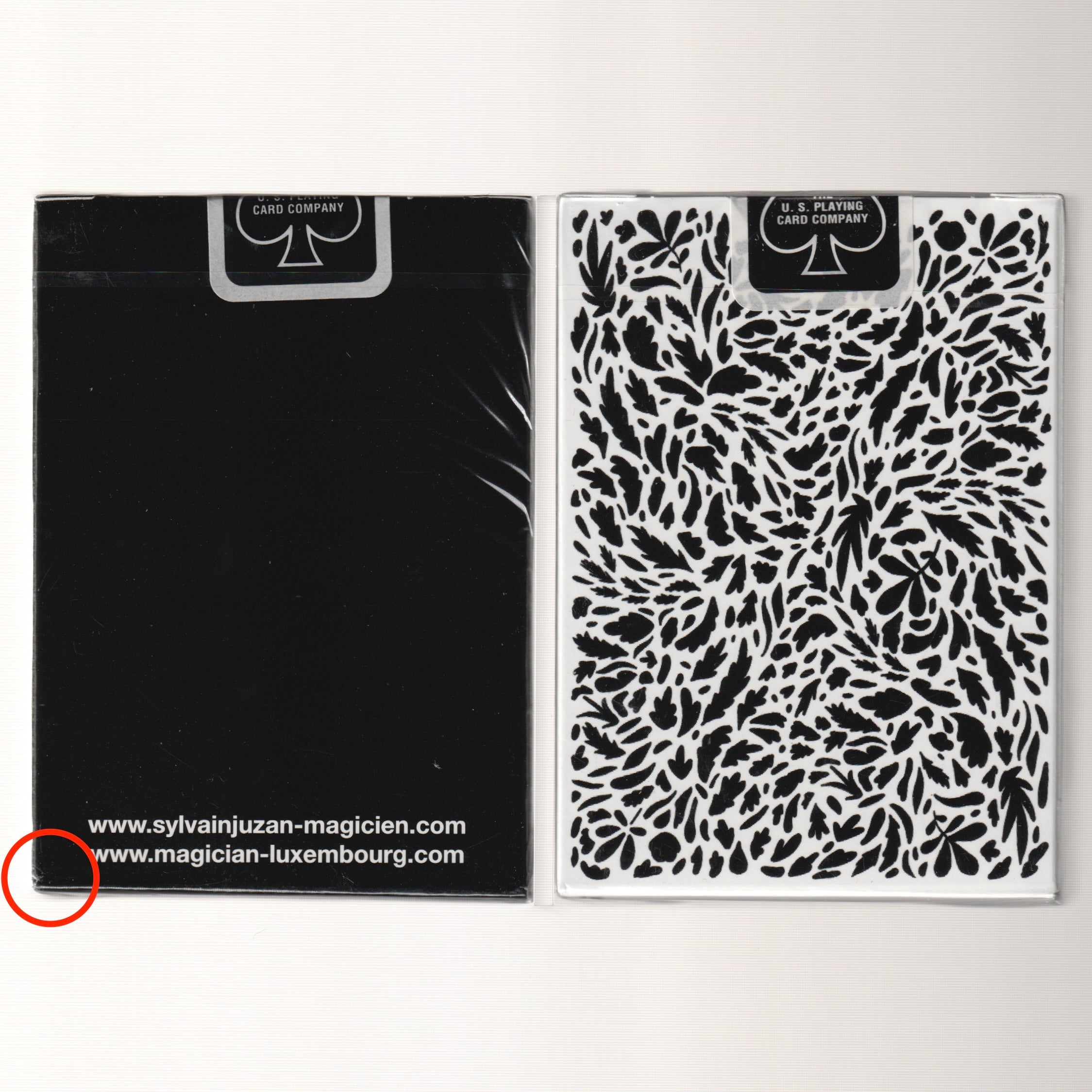 Sylvain Juzan Bicycle Set [AUCTION]