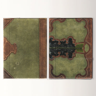 Robin Hood (Standard & Limited Edition) [AUCTION]